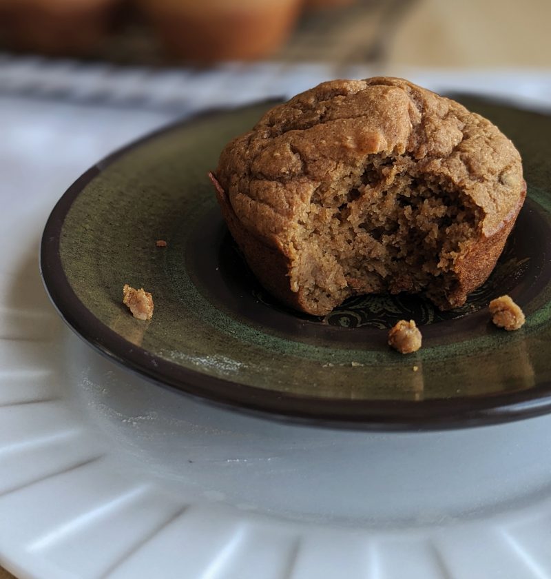 gingerbread protein muffin with a bite taken